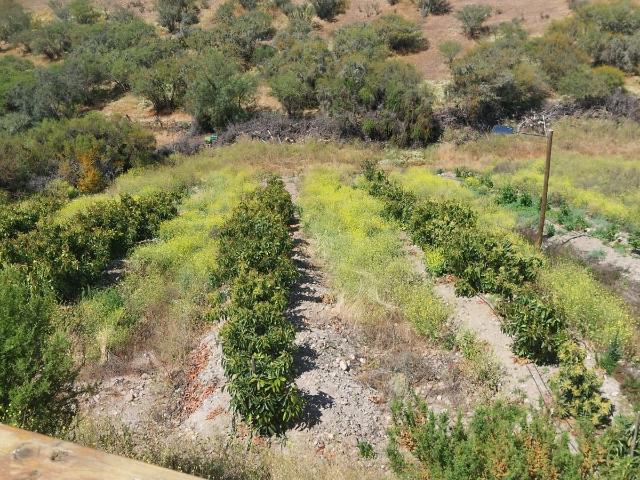 Terreno en venta en Ovalle, Coquimbo
