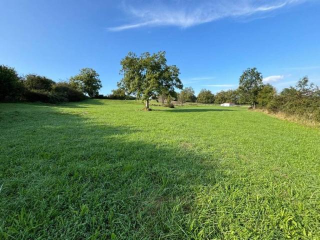 Terreno en venta en Oviedo