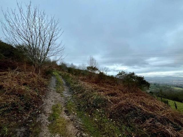 Terreno en venta en Oviedo, Asturias