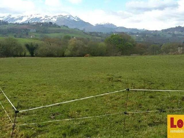 Terreno en venta en Oviedo