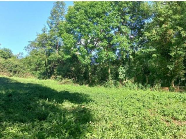 Terreno en venta en Oviedo