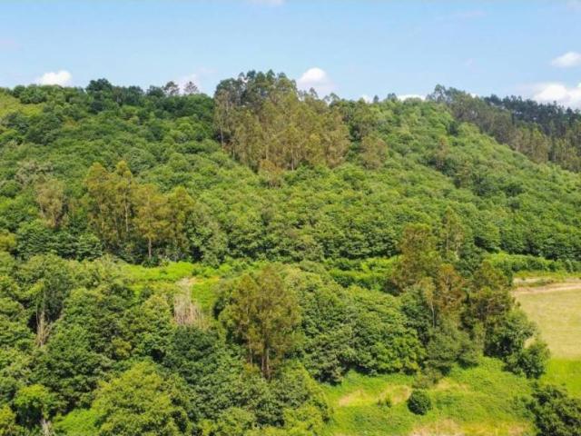 Terreno en venta en Oviedo, Asturias