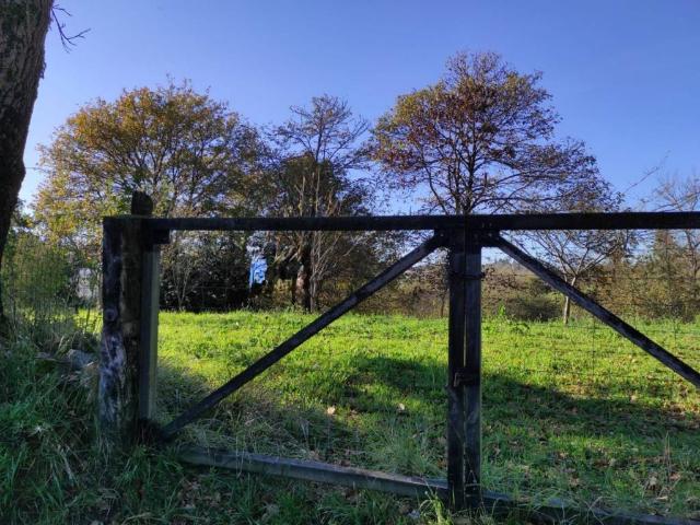 Terreno en venta en Llatores, Oviedo