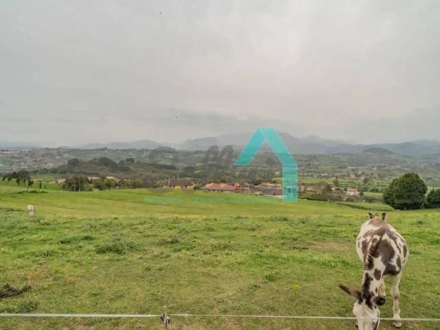 Terreno en venta en Oviedo, Asturias