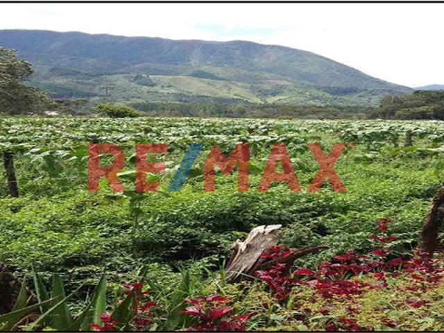 Terreno venta en Chontabamba, Pasco