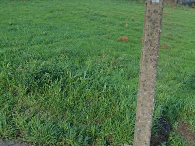 Terreno en venta en Oza Cesuras, Betanzos