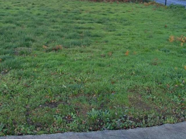 Terreno en venta en Oza Cesuras, Betanzos
