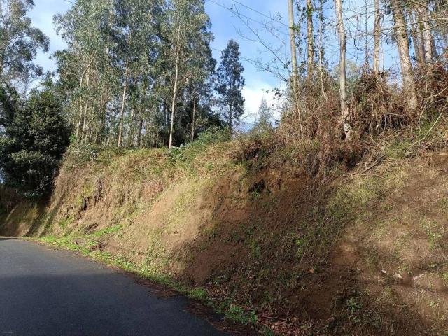 Terreno en venta en Oza Cesuras, Betanzos