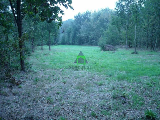 Terreno en venta en Paderne De Allariz