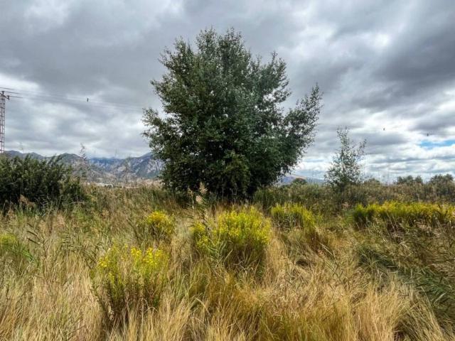 Terreno en venta en Comarca del Valle de Lecrín, Andalucía
