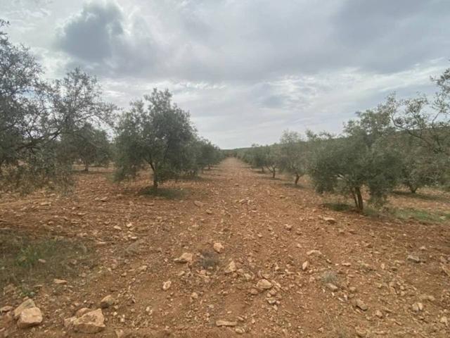 Terreno en venta en Padul, Granada