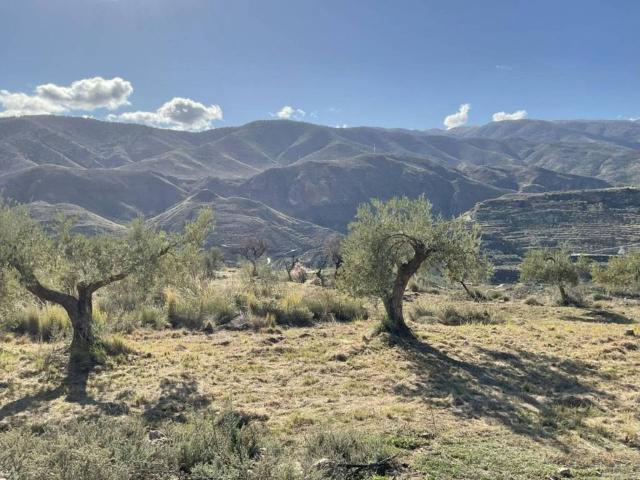 Terreno en venta en Padules, Andalucía