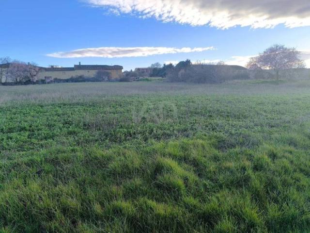 Terreno en venta en Pajares De Los Oteros, Castilla y León