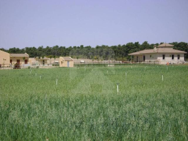 Terreno en venta en Palacios De Goda, Castilla y León