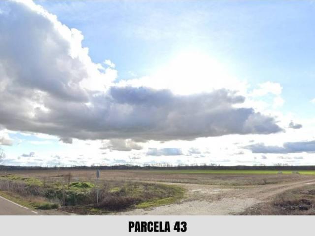 Terreno en venta en Palacios De Riopisuerga, Castilla y León