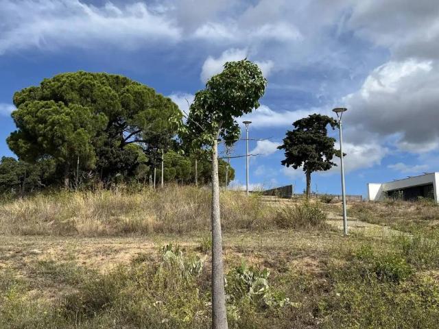 Terreno en venta en Baix Empordà, Catalunya