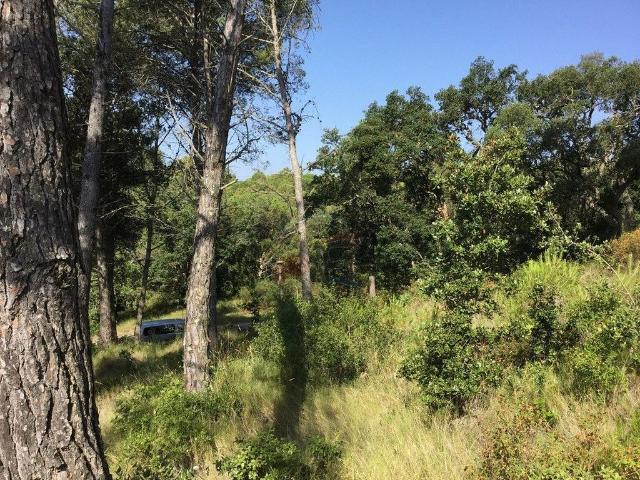 Terreno en venta en Palamós