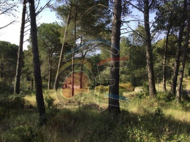 Local Comercial en venta en Palamós, el Pedró