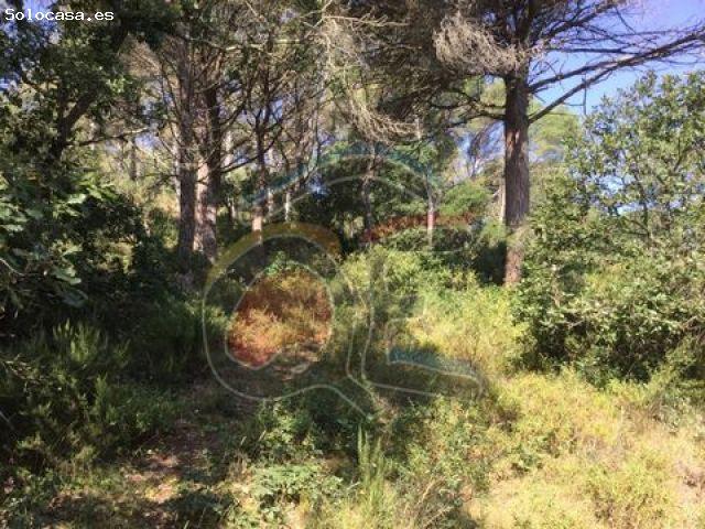 Local Comercial en venta en Palamós, el Pedró