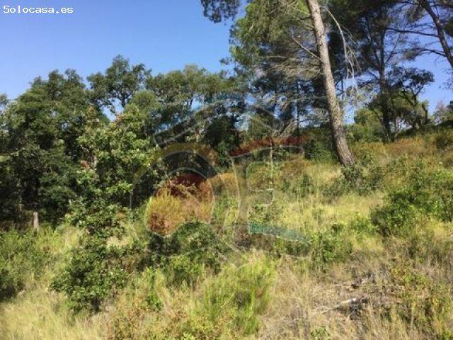 Local Comercial en venta en Palamós, el Pedró
