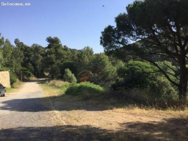 Local Comercial en venta en Palamós, el Pedró