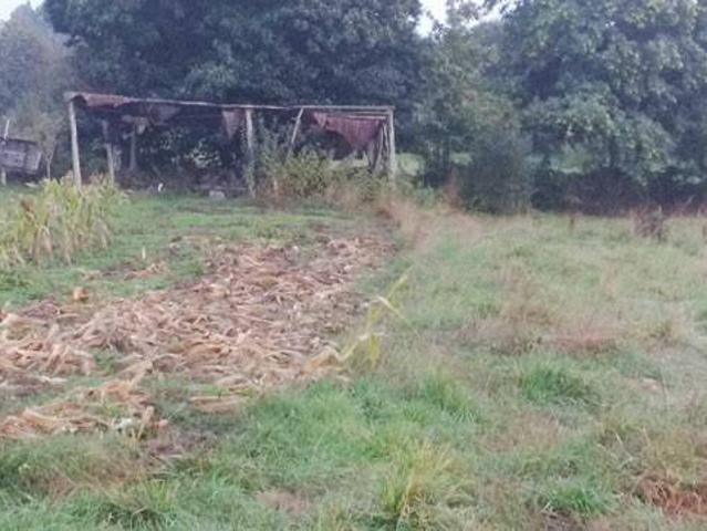 Terreno en venta en A Ulloa, Galicia