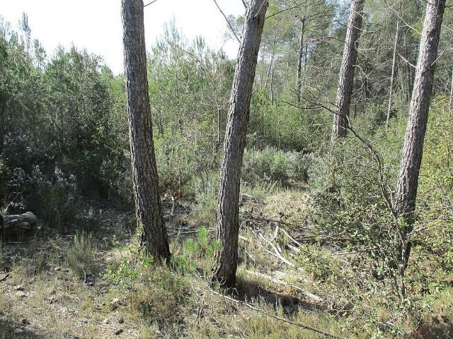 Terreno en venta en Alt Empordà, Catalunya