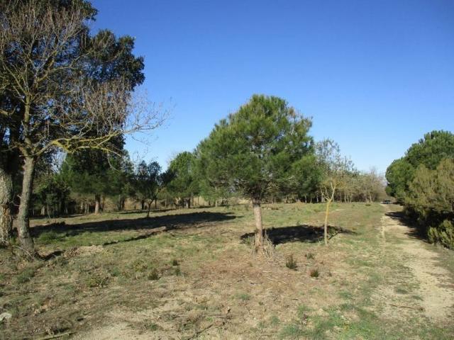 Terreno en venta en Alt Empordà, Catalunya