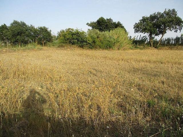 Terreno en venta en Alt Empordà, Catalunya