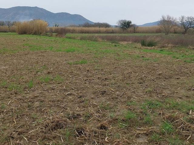 Terreno en venta en Alt Empordà, Catalunya