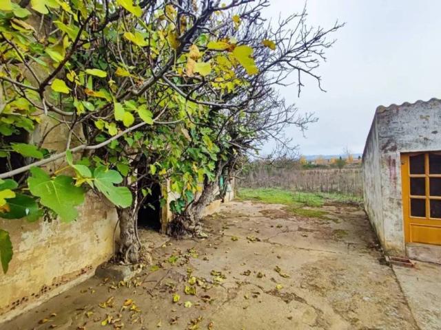 Terreno en venta en Pan y Guindas, Palencia