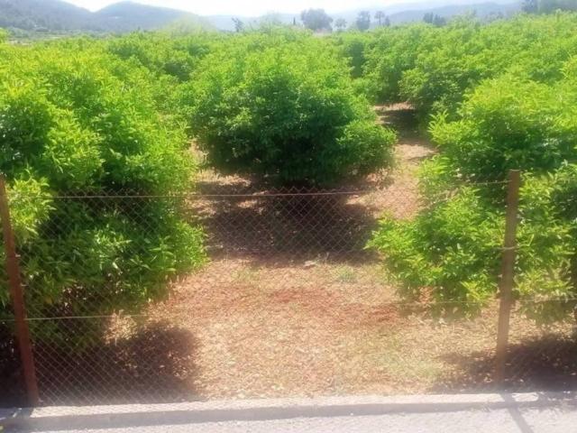 Terreno en venta en la Safor, Valencia