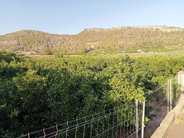 Terreno en venta en la Safor, Valencia