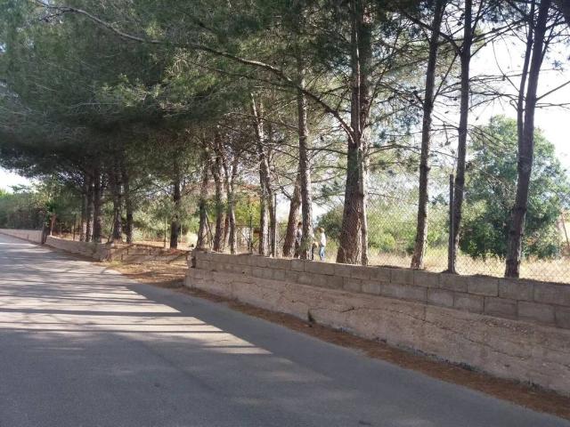 Terreno en venta en la Safor, Valencia