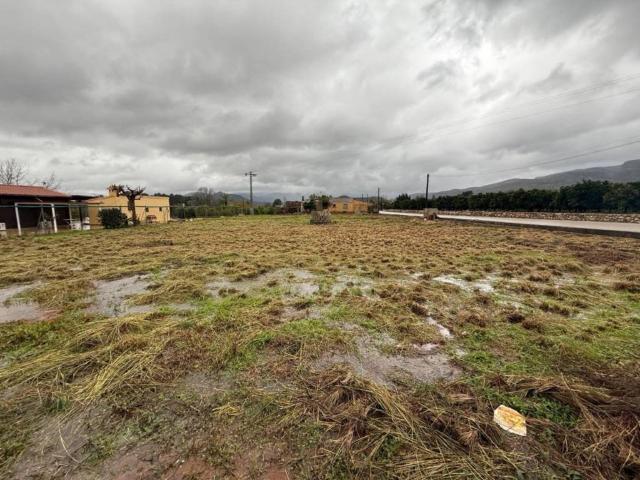 Terreno en venta en la Safor, Valencia