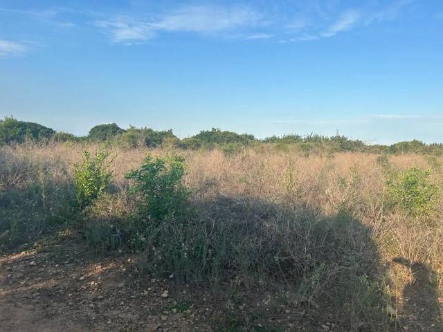 Terreno en venta en la Safor, Valencia