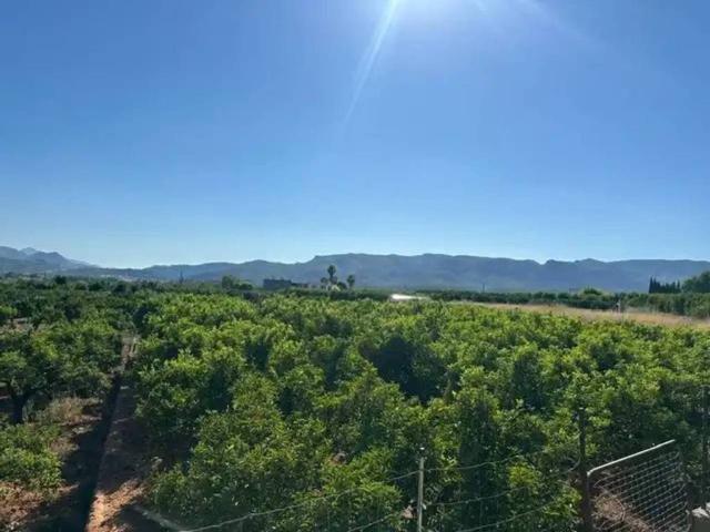 Terreno en venta en la Safor, Valencia