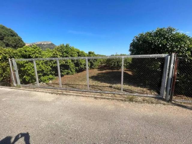 Terreno en venta en la Safor, Valencia