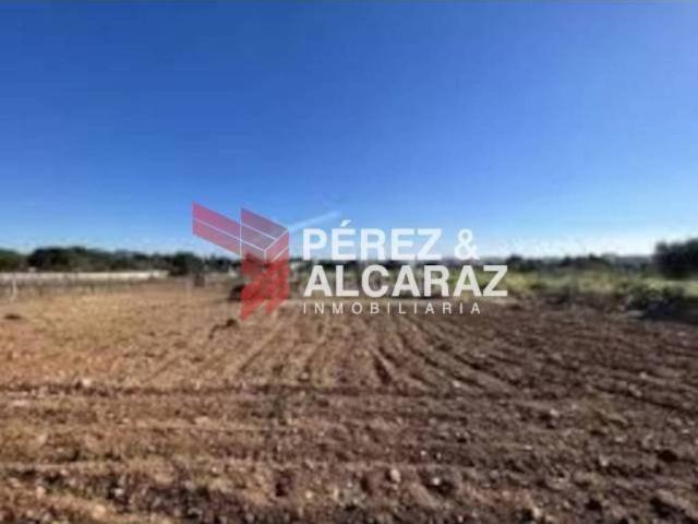 Terreno en venta en Palma Del Río, Andalucía
