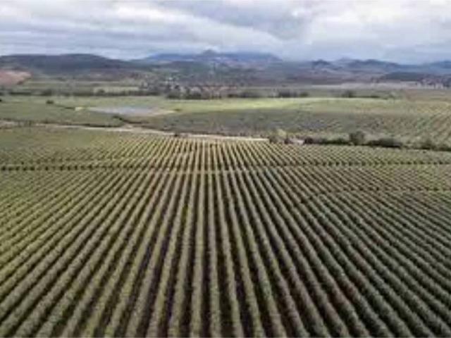 Terreno en venta en Palma Del Río, Andalucía