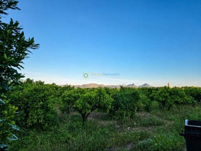 Terreno en venta en la Safor, Valencia