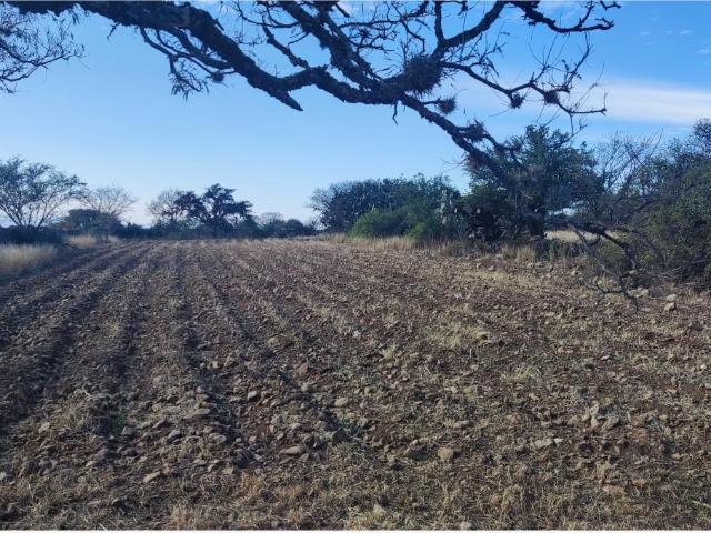 Terreno en venta en San Juan Del Río, Querétaro