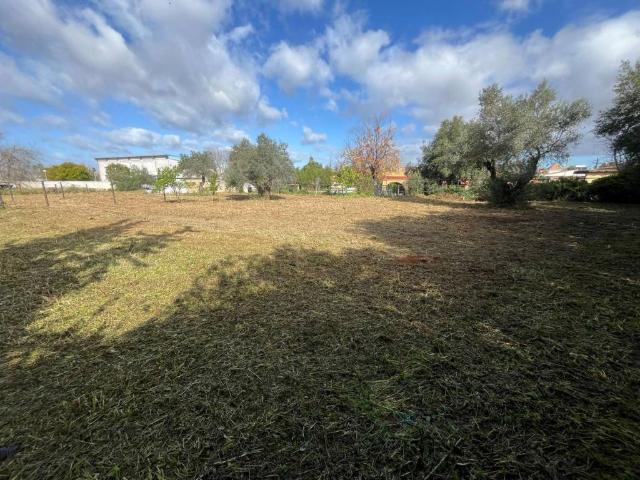 Terreno en venta en Palomares Del Río Terreno en venta en Palomares Del Río
