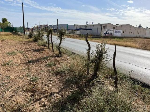 Terreno en venta en Palomares Del Río, Andalucía