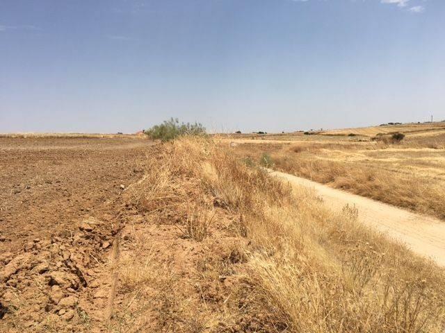Terreno en venta en Palomeque, Toledo