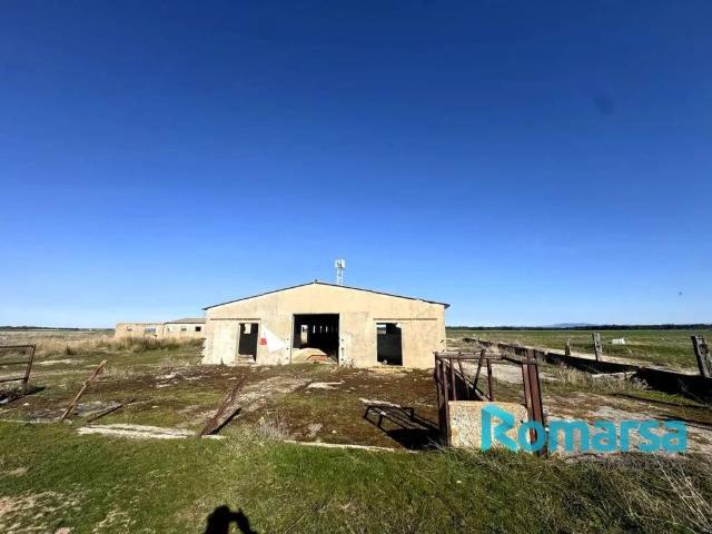 Terreno en venta en Papatrigo, Castilla y León