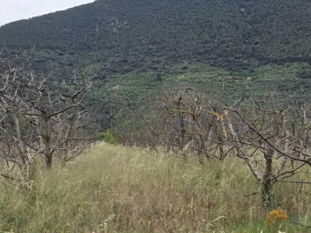 Terreno en venta en Comunidad de Calatayud, Aragón