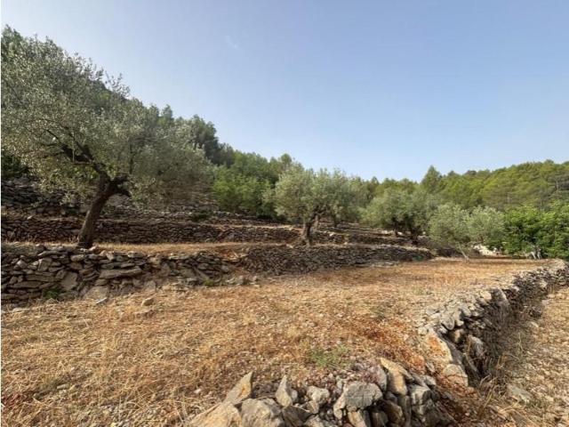 Terreno en venta en la Marina Alta, Valencia