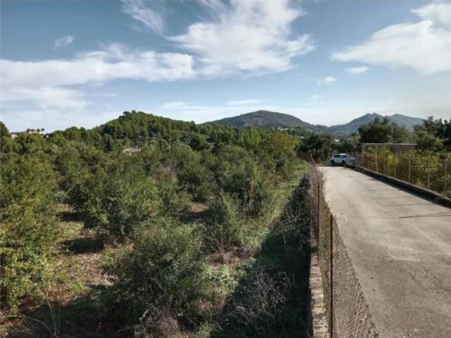 Terreno en venta en la Marina Alta, Valencia