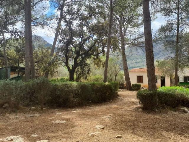 Terreno en venta en Parcent Terreno en venta en Parcent